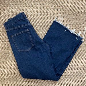 Aritzia Denim Forum - Coco High Rise Wide Leg - 27 x  33L